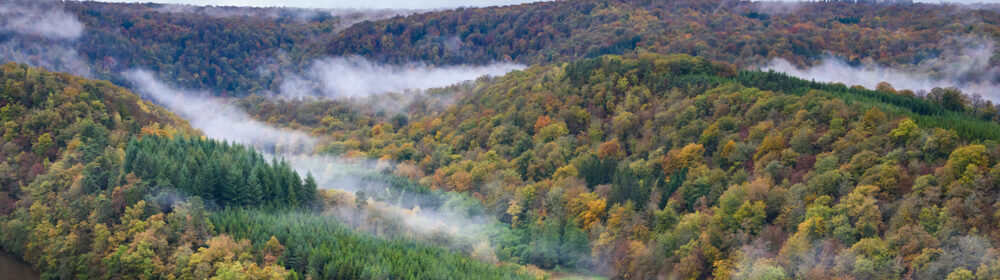 Actief in de Ardennen